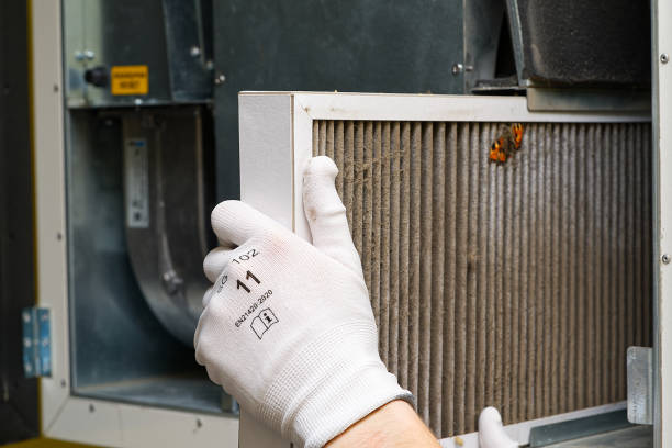 Best Home Air Vent Cleaning  in Shell Lake, WI